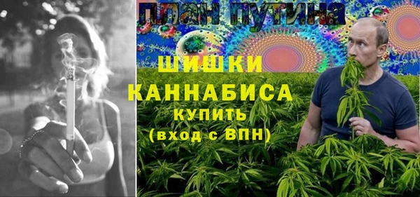 индика Абдулино