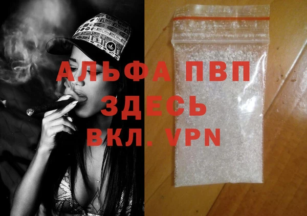 сатива Валдай