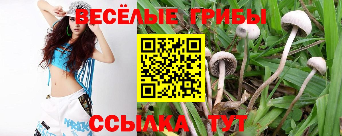 Псилоцибиновые грибы прущие грибы Заринск