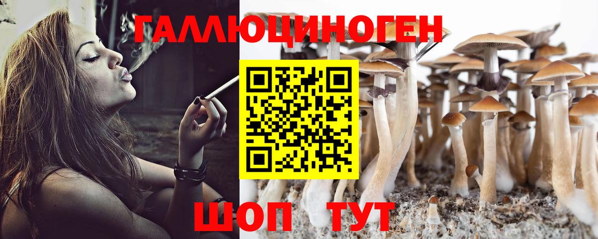 Заринск  Галлюциногенные грибы Magic Shrooms  что такое наркотик  Вход с VPN 
